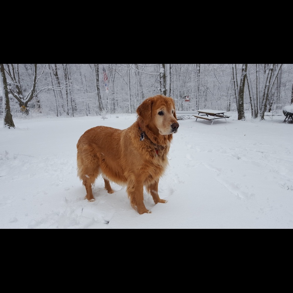 Meet your Posher, Peggy